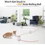 Domgoopet Interactive Cat Toys Ball, Self Rotating Cat Toy, Newest Version USB Rechargeable Pet Toy,Buit-in Spinning LED Light, Stimulate Hunting Instinct for Your Cat/Kitty/Kitten/Pets