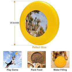Pet Frisbee Flying Disc Dog Toy - Multifunction Silenzio Guido Borelli