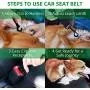 HIPPIH Dog Seat Belt Harness for Cars, 2 Pack Heavy Duty and Durable Car Harness for Dogs, Adjustable Belts Elastic Nylon Vehicle Harnesses for Car with Collapsible Pet Travel Bowl HIPPIH Dog Seat Belt Harness for Cars, 2 Pack Heavy Duty and Durable Car Harness for Dogs, Adjustable Belts Elastic Nylon Vehicle Harnesses for Car with Collapsible Pet Travel Bowl