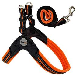 GEILHOPET Dog Harness and Leash Set
