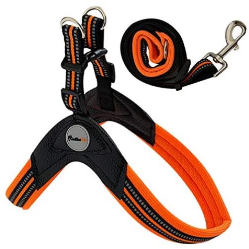 GEILHOPET Dog Harness and Leash Set