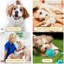 FANZ Pet Molar Bite Toy, Dog Chew Toys for Aggressive Chewers, Dog Rope Toys with Suction Cup for Teeth Cleaning