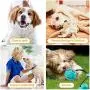 FANZ Pet Molar Bite Toy, Dog Chew Toys for Aggressive Chewers, Dog Rope Toys with Suction Cup for Teeth Cleaning FANZ Pet Molar Bite Toy, Dog Chew Toys for Aggressive Chewers, Dog Rope Toys with Suction Cup for Teeth Cleaning