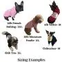 Dog Face Hoodie Warm Sweatshirt Sweater Fleece for Chilly Small Miniature Dog Puppy (Medium (15'' Chest, Back 10'',4-6lbs, Grey)