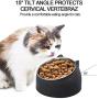 Sorlakar Stainless Steel Cat Bowls,15°Tilted Cat Dog Bowl Removable Water Food Feeder Bowl,Non-Skid & Non-Spill for Small Medium Large Cats Dogs