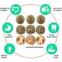 RoyalPolar 8 Pcs Small Animals Chew Toys Rat Activity Ball Guinea Pig Play Toys for Rabbits Squirrel Gerbils Small Pets Chewing and Playing Exercise Teeth Care, Pet Cage Entertainment Accessories