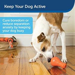 PetSafe Medium Sportsmen Squeak N Treat Booya Pet Chew Toy