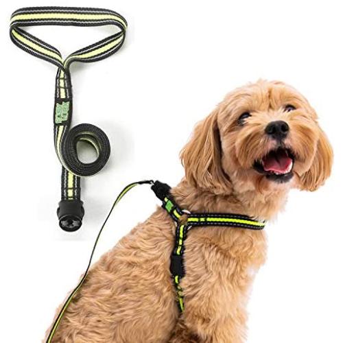Easy Lock Dog Harness,Leash,for Small Large Dogs Puppy Breed, No-Pull, Magnetic Clasp Reflective Vest(SML)