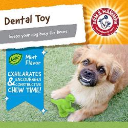 Arm & Hammer Ora-Play Denta-Saurus T-Rex Dental Chew Toy for Dogs | Best Dog Chew Toy For the Toughest Chewers | Reduces Plaque & Tartar Buildup Without Brushing, Mint Flavor (FF8431)