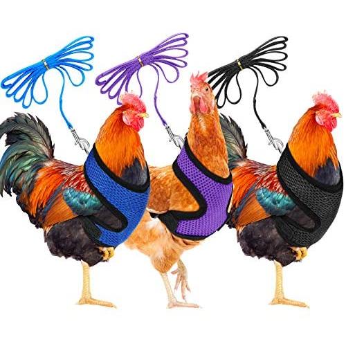 3 Pieces Adjustable Chicken Harness with Leash and Matching Belt, Comfortable Hen Pet Vest Breathable Chicken Training Harness for Chicken, Duck or Goose Training Walking