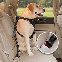 Dolebean Dog Seatbelt 2 Packs Seat Belt with Dog Whistle and Dog Bowl Car Harness (Black)