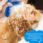Dog grooming Shampoo brush, Lilpep pet bath comb brush, which helps to soothe massage, rubber comb, adjustable ring handle, suitable for pet cats and dogs (yellow)