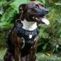 Fenrir Ragnar Dog Harness Black (S) Fenrir Ragnar Dog Harness Black (S)