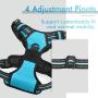 rabbitgoo Dog Harness, No-Pull Pet Harness with 2 Leash Clips, Adjustable Soft Padded Dog Vest, Reflective No-Choke Pet Oxford Vest with Easy Control Handle for Large Dogs, Blue (L, Chest 20.5-36'')