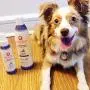 Aroma Paws Dog Shampoo – Cleansing Wash, Conditioning, Moisturizing – Toxin Free, Healthy Ingredients – Aromatic Grooming Puppy Shampoo – Tearless Cleaner, Lavender Chamomile