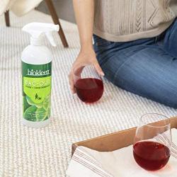 Biokleen Bac-Out Stain and Odor Remover - 256 Ounces - Destroys Stains & Odors Safely, for Pet Urine, Laundry, Diapers, Wine, Carpets, More, Eco-Friendly, Plant-Based