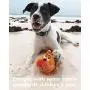 Bulldog - Squeaky Dog Toy - Soft, Natural Rubber (Latex) - for Puppies, Small Dogs & Medium Dogs - Indoor Play - Complies with Same Safety Standards as Childrens Toys Bulldog - Squeaky Dog Toy - Soft, Natural Rubber (Latex) - for Puppies, Small Dogs & Medium Dogs - Indoor Play - Complies with Same Safety Standards as Childrens Toys