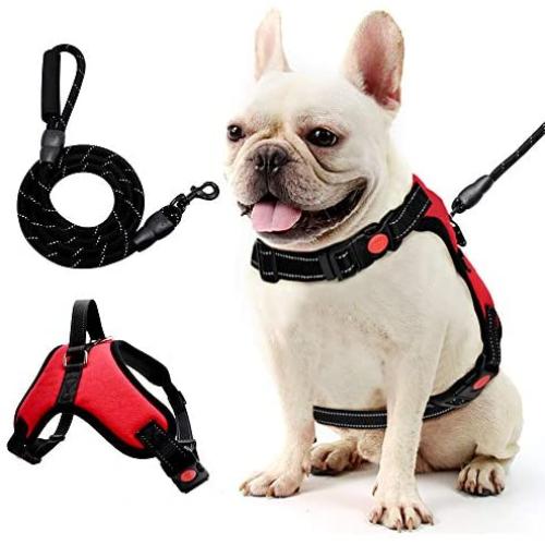 Step-in Dog Harness,Small Dog Harness and Leash Set,Soft Air Mesh Step-in Harness for Small Medium Breed,Band with A Free Heavy Duty 5ft Dog Leash