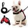 Step-in Dog Harness,Small Dog Harness and Leash Set,Soft Air Mesh Step-in Harness for Small Medium Breed,Band with A Free Heavy Duty 5ft Dog Leash