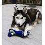 Pets First NFL Los Angeles Rams Football Dental Tough Dog TUG Bone Toy with Built-in Squeaker Attached to a Safe Rubber Teething Toothbrush PET Toy, Team Color, 14 x 5 (STL-3310)