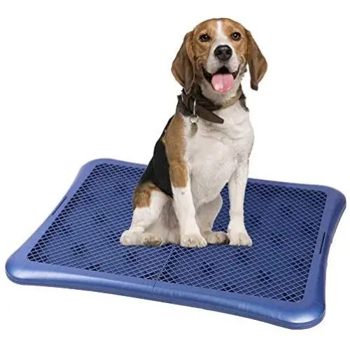 Petphabet Puppy Training Pad Holder Floor Protection Dog Pad Holder Mesh Training Tray