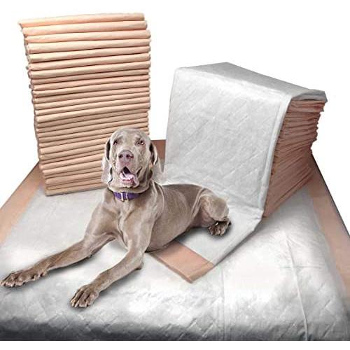 Mednet Direct Puppy Pads & Dog Training Pads