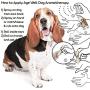 The Blissful Dog Age Well Dog Aromatherapy