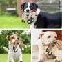 Z.T MENG Dog Plush Toys Interactive Dogs Squeaky Toys, Cute Plush Stuffed Monkey, Bear, Cow Pet Toys, Chewing and Durable Toys for Puppy Dogs and Medium Dogs.(3 Pack).