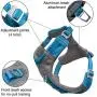 Kurgo Dog Harness for Large, Medium & Small Dogs Kurgo Dog Harness for Large, Medium & Small Dogs