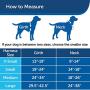 PetSafe 3 in 1 Harness - No-Pull Dog Harness - for X-Small, Small, Medium and Large Breeds - from the Makers of the Easy Walk Harness
