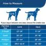 PetSafe 3 in 1 Harness - No-Pull Dog Harness - for X-Small, Small, Medium and Large Breeds - from the Makers of the Easy Walk Harness PetSafe 3 in 1 Harness - No-Pull Dog Harness - for X-Small, Small, Medium and Large Breeds - from the Makers of the Easy Walk Harness