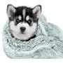The Dog’s Blanket Sound Sleep Original Blanket, Premium Quality Calming, Anti-Anxiety Snuggler Blankets The Dog’s Blanket Sound Sleep Original Blanket, Premium Quality Calming, Anti-Anxiety Snuggler Blankets