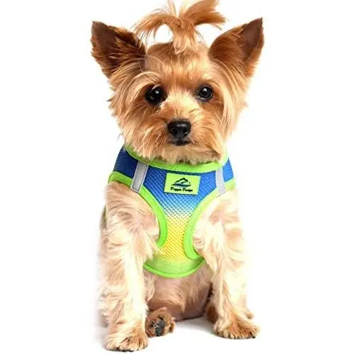 Ultra Choke Free Step in Reflective Dog Harness American River Ombre Cobalt Sport Ultra Choke Free Step in Reflective Dog Harness American River Ombre Cobalt Sport
