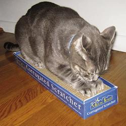 Cat Scratchers - Affordable Corrugated Honeycomb Scratching Pad Box with Catnip