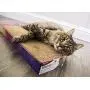 SmartyKat Super Scratcher Cat Scratcher SmartyKat Super Scratcher Cat Scratcher