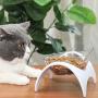 taomu Elevated Cat Food Bowls Neck Protection Raised Pet Food and Water Bowls Wide Dish Non Slip with Raised Stand for Puppy Dogs Cats(White)