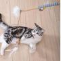DAN Pet Cat Teaser Scratcher Stick Funny Interactive Toys for Cats Feather Mice Fish Scratching Wand Cat Toys Pet Products for Cats