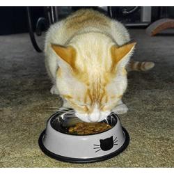 Comsmart Stainless Steel Pet Cat Bowl Kitten Puppy Dish Bowl with Cute Cats Painted Non-Skid for Small Dogs Cats Animals (2 Pack)