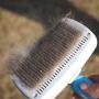 GEEPET Self Cleaning Slicker Brush for Dogs and Cats - Easy to Clean Pet Grooming Brush Removes Mats, Tangles, and Loose Hair with Minimal Effort and Comfort - Suitable for Long or Short Hair