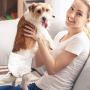Pet Soft Disposable Female Puppy Dog Diaper 12-72pcs