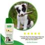 PROCÃO: Pet Shampoo Basics - Sustainably Sourced from Amazon Rainforest - No Parabens or Dyes - Tearless - Essential Oils