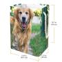 Storage Bag Pet Dog Large Foldable Waterproof Clothes Hamper Toys Storage Bag with Carry Handles 19.3x11.8x15.9 in