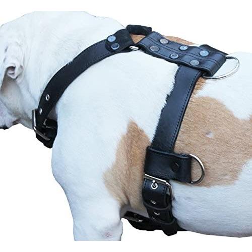 Genuine Leather Dog Harness Large 28''-35'' Chest, 1.3'' Wide Adjustable Straps