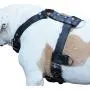 Genuine Leather Dog Harness Large 28''-35'' Chest, 1.3'' Wide Adjustable Straps
