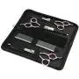 GEMEK Pet Cat Dog Grooming Scissors Set 4 Pieces Stainless Steel Professional Pet Trimmer Kit - 7.5 inch Straight Cutting Scissors, Thinning Shears, Curved Scissors, Grooming Combs