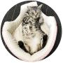 Petper Cat Bed, Cat Self Warming Bed & Sofa, Pink