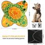 BIGA Dog Snuffle Mat with Interactive Puzzle for Training Natural Foraging Skills Stress Release