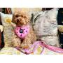Pet Pooch Boutique Princess Pizza Dog Harness, 200 g, Size L, Pink