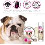 The Blissful Dog Nose Butter for Dry Dog Nose