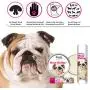 The Blissful Dog Nose Butter for Dry Dog Nose The Blissful Dog Nose Butter for Dry Dog Nose